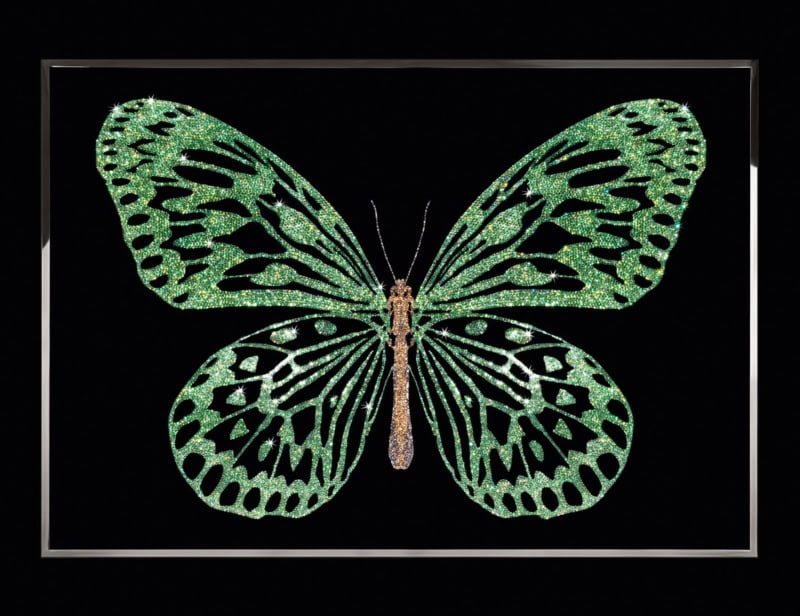 Green Butterfly modern luxury art with green glass