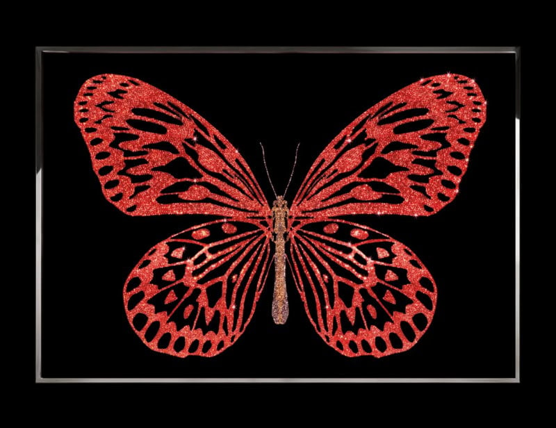 Red Butterfly modern luxury art with red glass