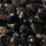 black Murano glass mosaic tiles