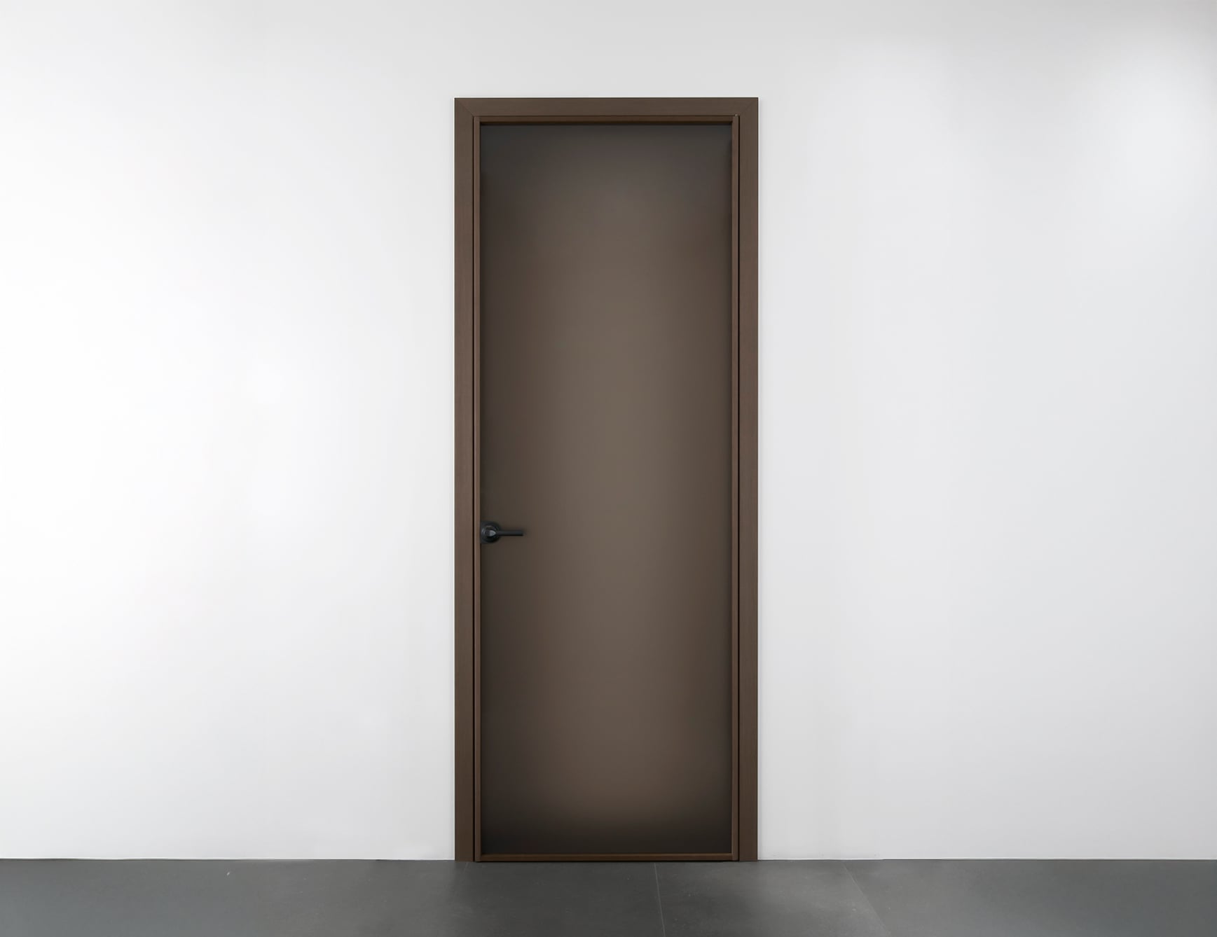 Beat hinge door with frosted bronze glass and wood frame